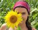 sunflower-2699771_640